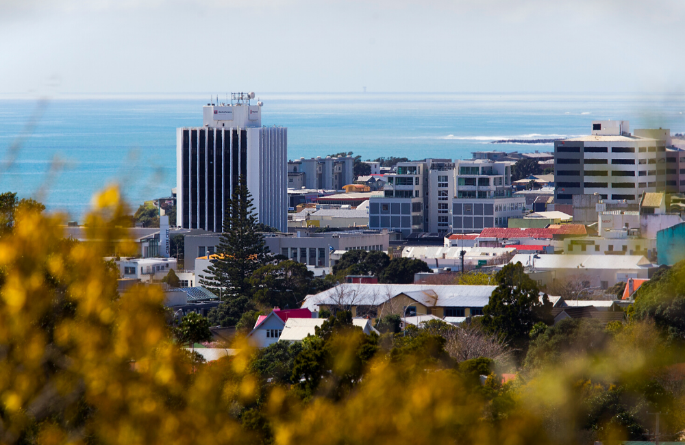 Changes to the New Plymouth rental market